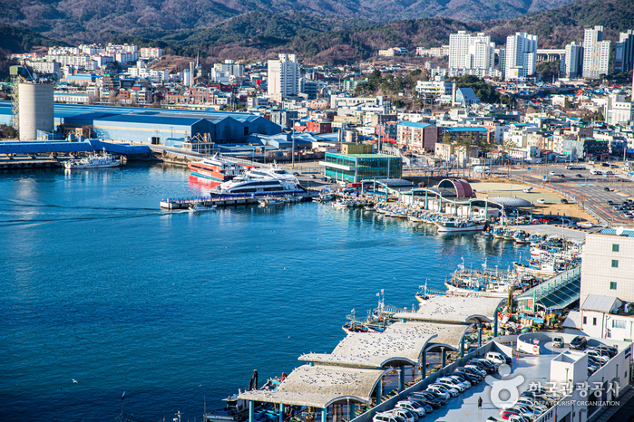 墨湖港(묵호항)