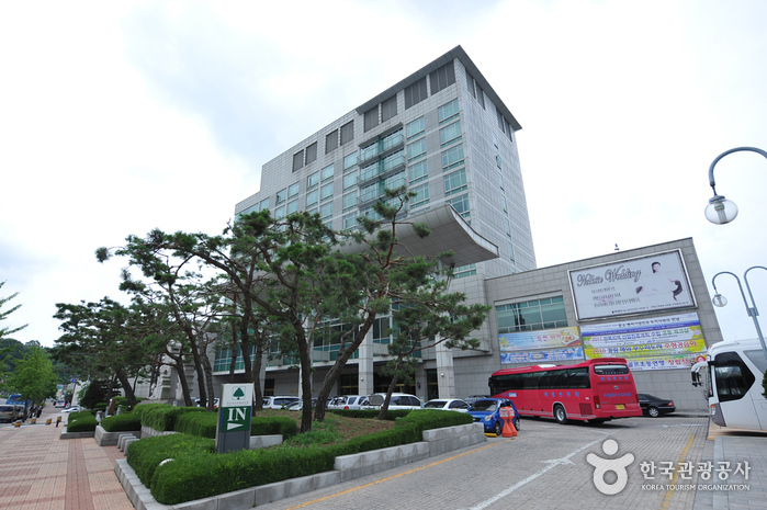 Lewin酒店(호텔르윈)