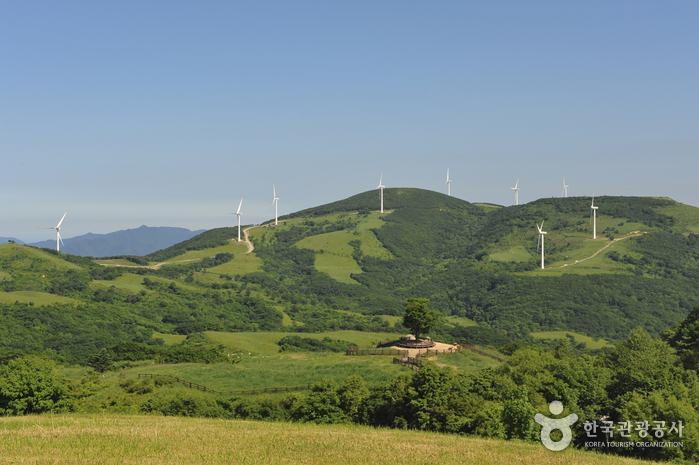 大关岭观光特区(대관령 관광특구) 大关岭观光特区(대관령 관광특구)