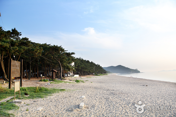 故沙浦海水浴场(고사포해수욕장) 故沙浦海水浴场(고사포해수욕장)