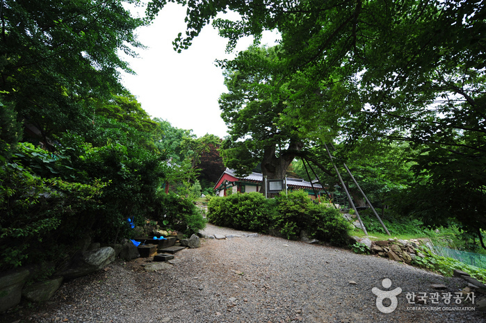 龙宫寺(仁川)용궁사(인천)