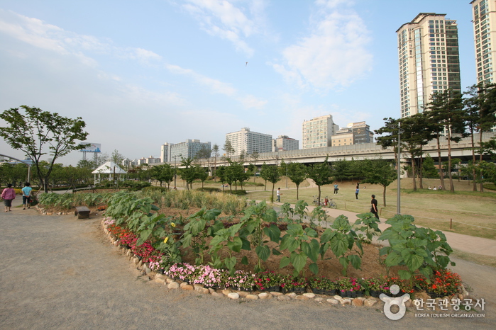上洞湖水公园(상동호수공원) 上洞湖水公园(상동호수공원)