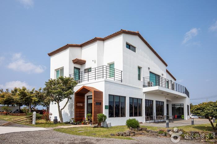 Tilda House [韩国旅游品质认证/Korea Quality] (틸다하우스  [한국관광 품질인증/Korea Quality])