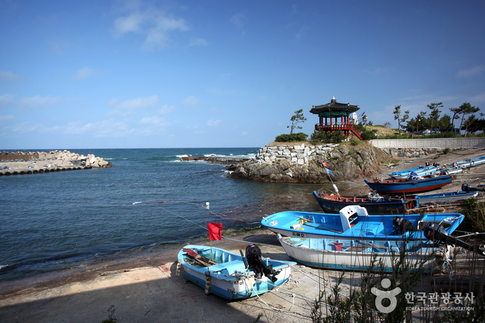 雪蟹元祖村(대게원조마을)