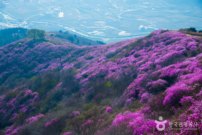 灵鹫山(丽水)영취산(여수)