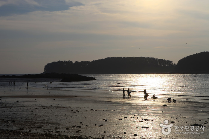 武昌浦海水浴场무창포해수욕장