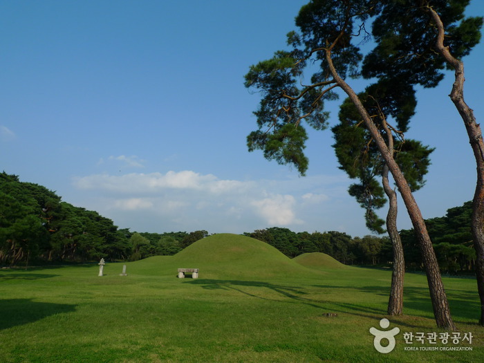 庆州五陵경주 오릉