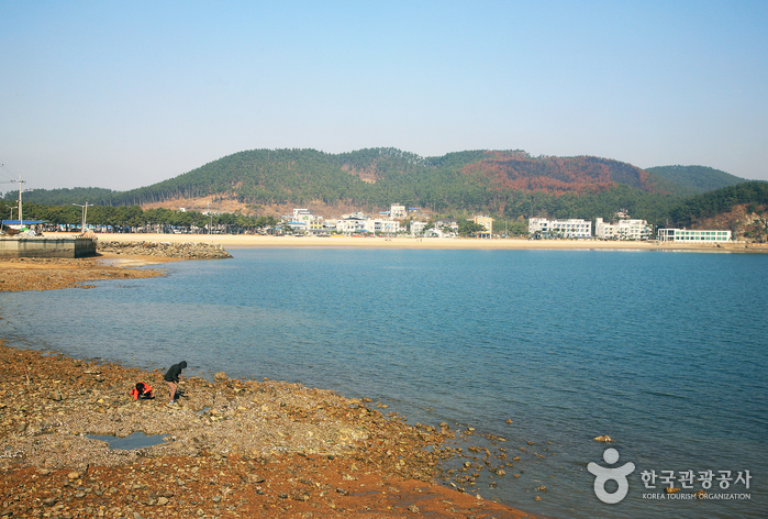 恋浦海水浴场(연포해수욕장)