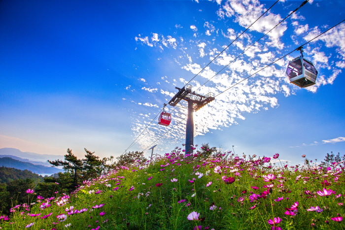 木浦海上缆车목포 해상케이블카