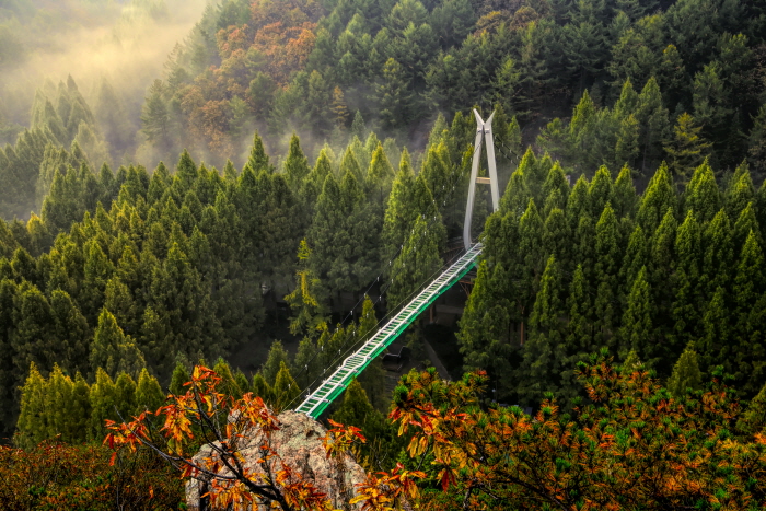 长泰山自然休养林(장태산자연휴양림)