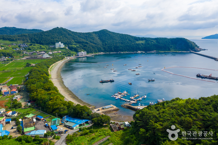 南海勿巾防潮鱼付林남해 물건리 방조어부림 南海勿巾防潮鱼付林남해 물건리 방조어부림