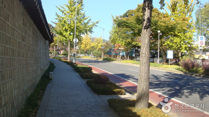 The Street in front of Cheongwadae (The Blue House) (청와대 앞길)