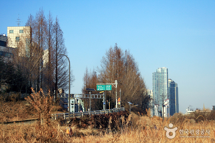 Yangjaecheon Ecological Park (양재천 생태공원)