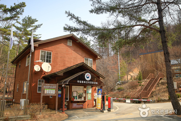 Yonghwasan National Recreational Forest (국립 용화산자연휴양림)