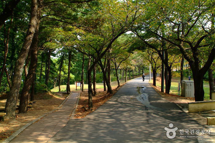 Sarabong Park (사라봉공원)