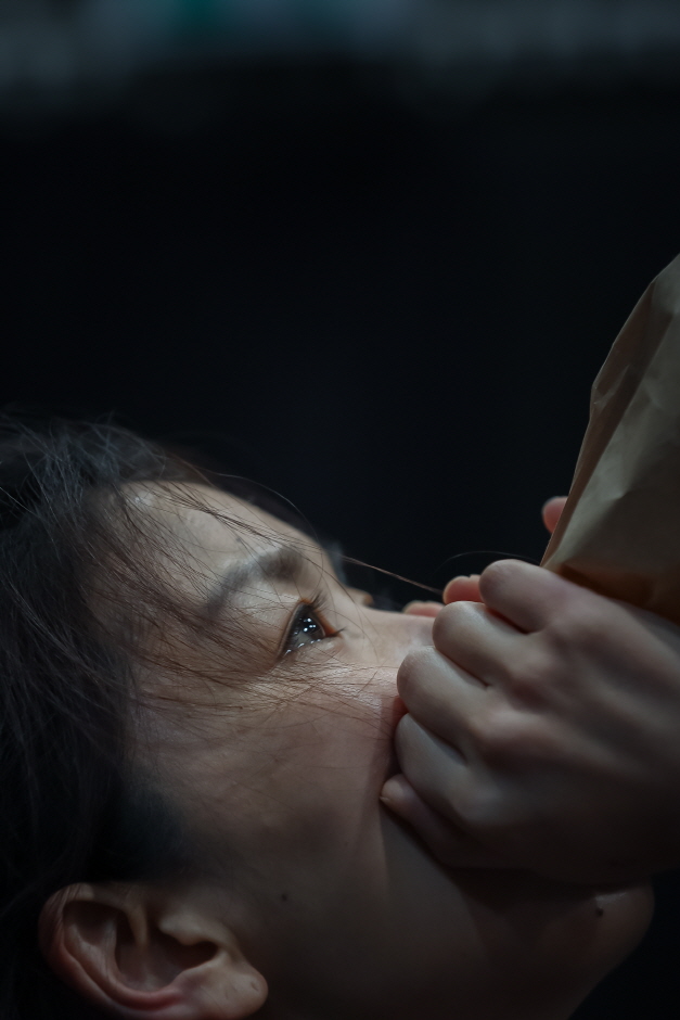 Seoul International Dance Festival (서울세계무용축제) Seoul International Dance Festival (서울세계무용축제)