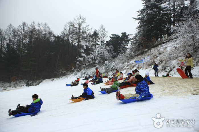 Hanwha Resort - Yangpyeong Sledding Park (양평한화리조트 눈썰매장) Hanwha Resort - Yangpyeong Sledding Park (양평한화리조트 눈썰매장)
