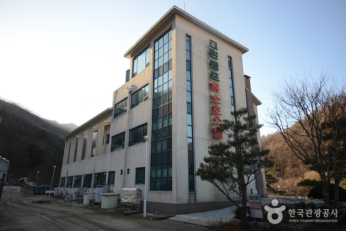 Greencamp Youth Hostel (그린캠프유스호스텔)