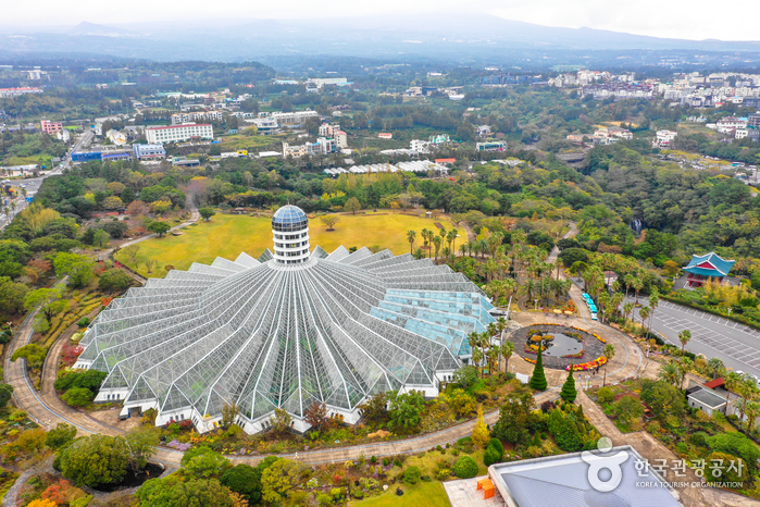 Yeomiji Botanical Garden (여미지 식물원)