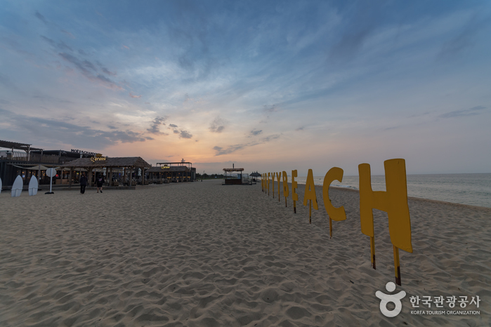 Yangyang Surfyy Beach (서피비치, 서핑(양양))
