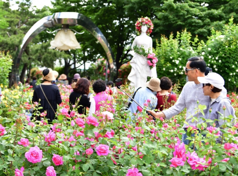 Seoul Rose Festival (서울장미축제)