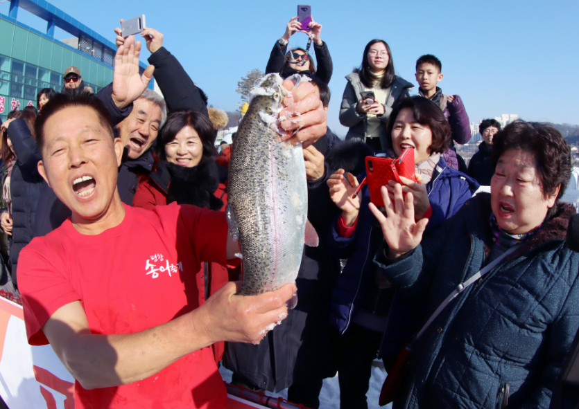 Pyeongchang Trout Festival (평창송어축제)
