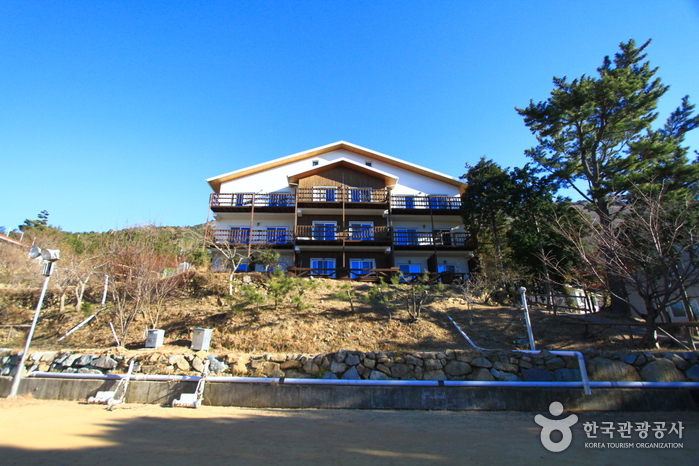 Geoje Suntree Farm Resort (거제 썬트리팜리조트)