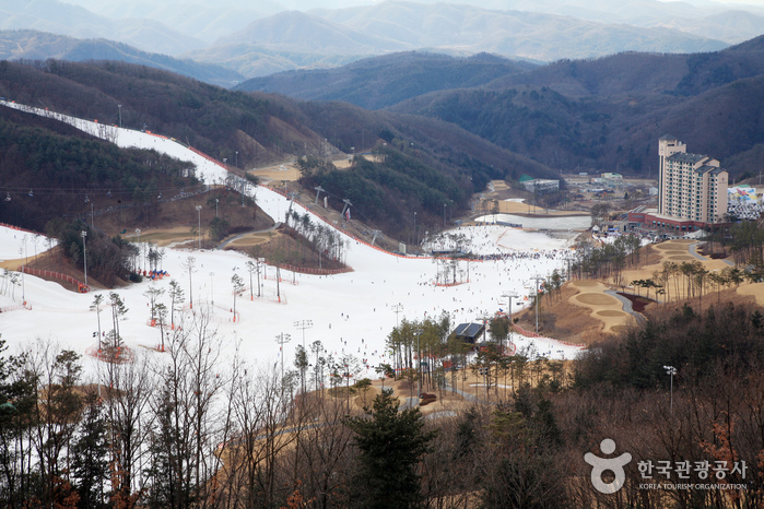 Station de ski Oak Valley (오크밸리 스키장)