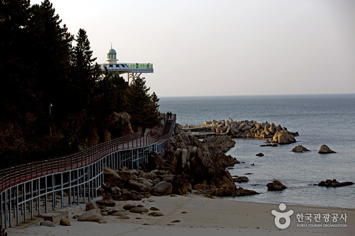 Chemin de promenade Dulle-gil Hajodae (하조대 둘레길)