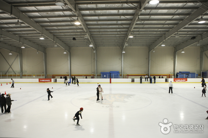 Patinoire de Korea University (고려대학교 아이스링크)