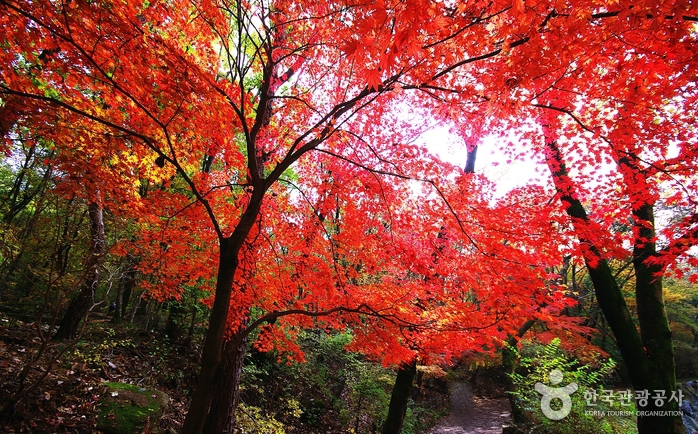 Mont Gwanaksan (관악산)