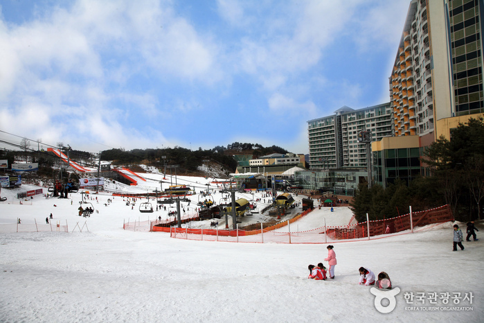 Station Welli Hilli Park Snow Park (웰리힐리파크 스노우파크)