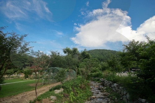 Mont Yumyeongsan (Mont Mayusan) (유명산)