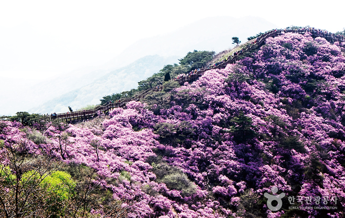 Mont Goryeosan (고려산)