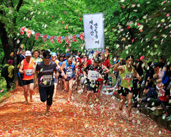 Route ocre du mont Gyejoksan (계족산 황톳길)