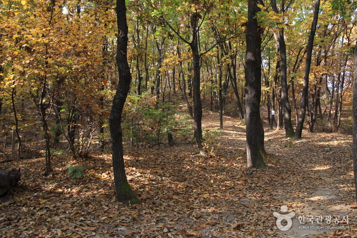 Mont Dobongsan (도봉산)