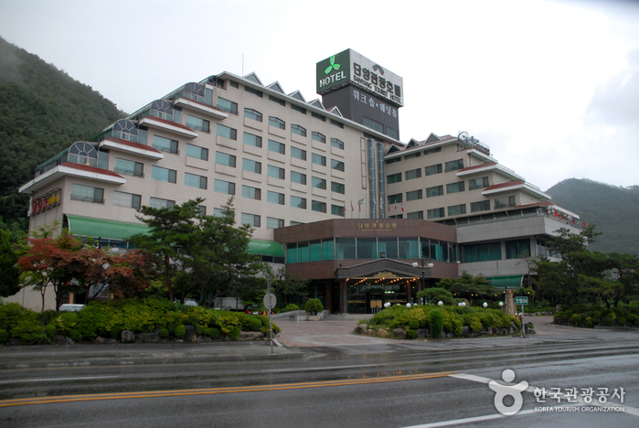 Danyang Hotel (단양관광호텔)