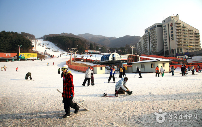 Station de ski Bears Town Resort (베어스타운리조트 스키장 )