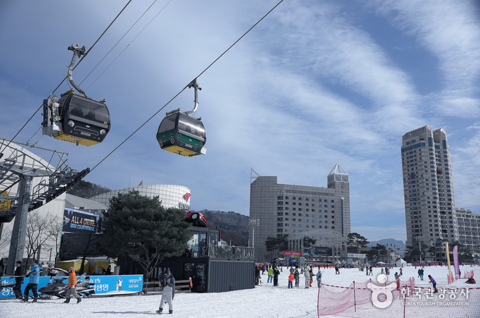 Station de ski Phoenix Park (휘닉스 스노우파크)