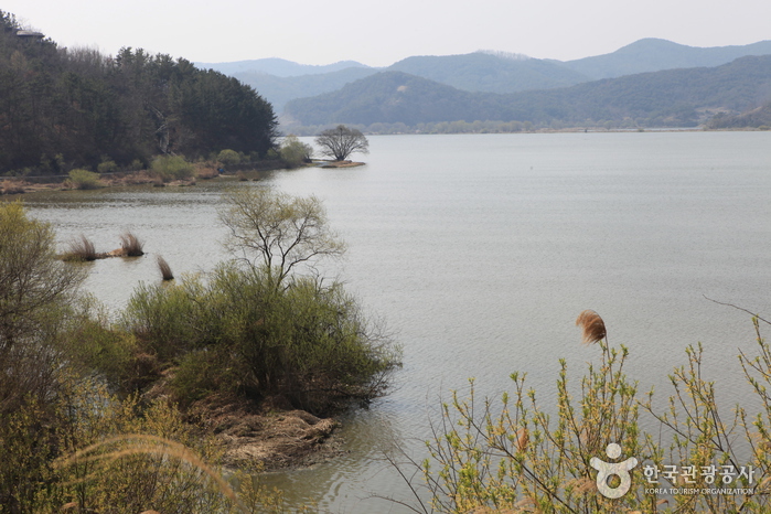 Marais d'Upo à Changnyeong (창녕 우포늪)