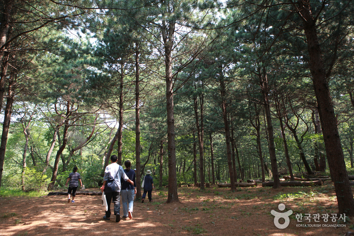 Mont Cheonggyesan (청계산)