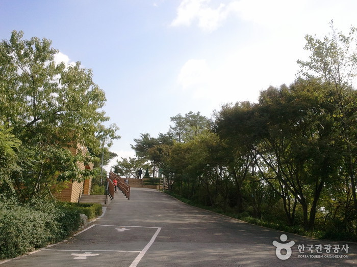 Mont Eungbongsan à Séoul (응봉산(서울))