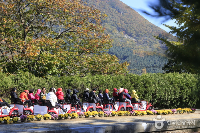 Parc du Railbike de Gangchon (강촌레일파크)