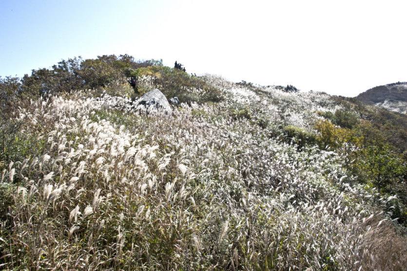 Mont Oseosan (오서산)