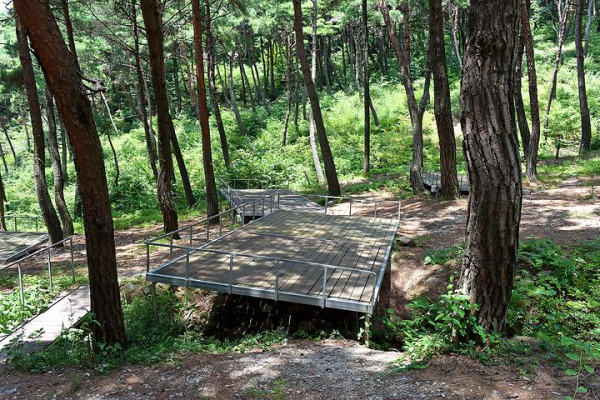 남원 자연휴양림 