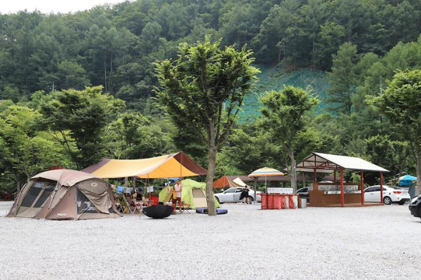 김삿갓 계곡 캠핑장 