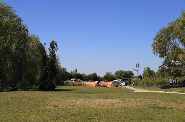 노을공원 가족캠핑장