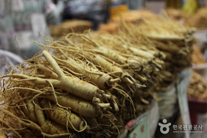 Yeongju Punggi Ginsengfestival (경북영주 풍기인삼축제)