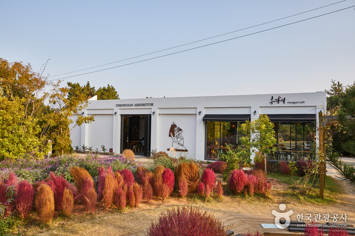 Cheongsan Arboretum (청산수목원) Cheongsan Arboretum (청산수목원)