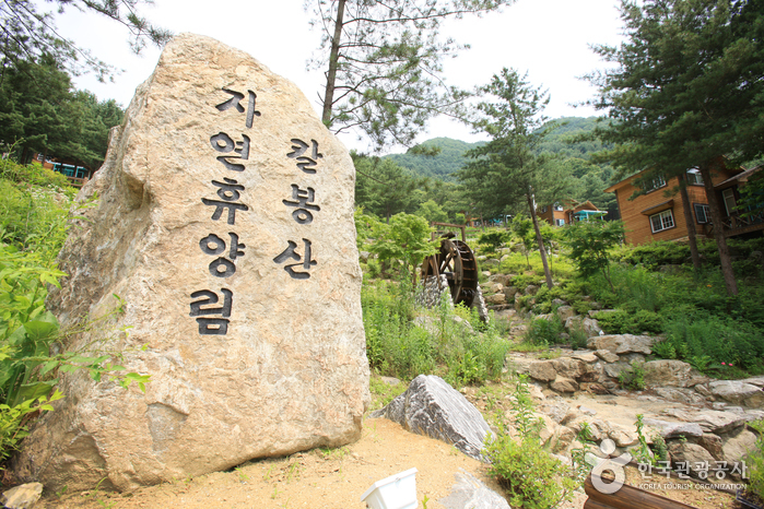 Erholungswald Kalbongsan (칼봉산자연휴양림)